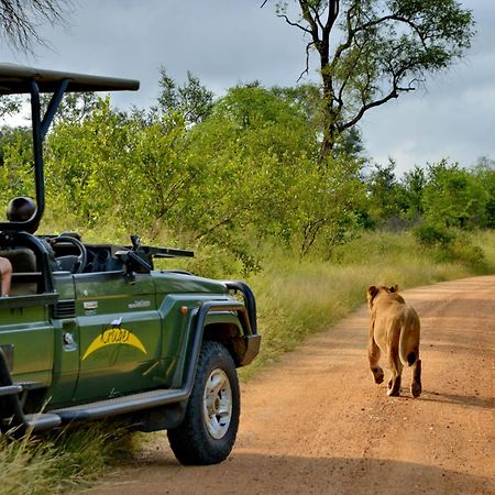 Kruger Safari Lodge Khu bảo tồn Khu bảo tồn Manyeleti Game Reserve Ngoại thất bức ảnh