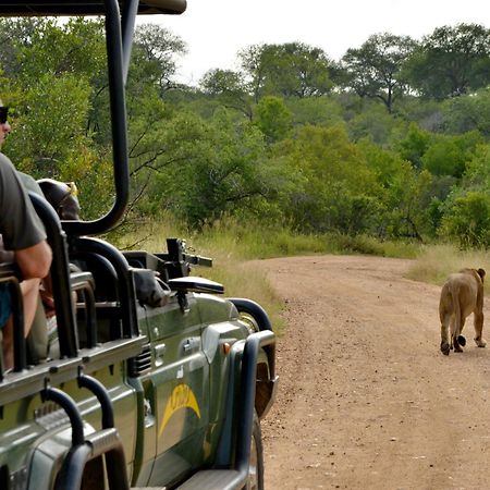 Kruger Safari Lodge Khu bảo tồn Khu bảo tồn Manyeleti Game Reserve Ngoại thất bức ảnh