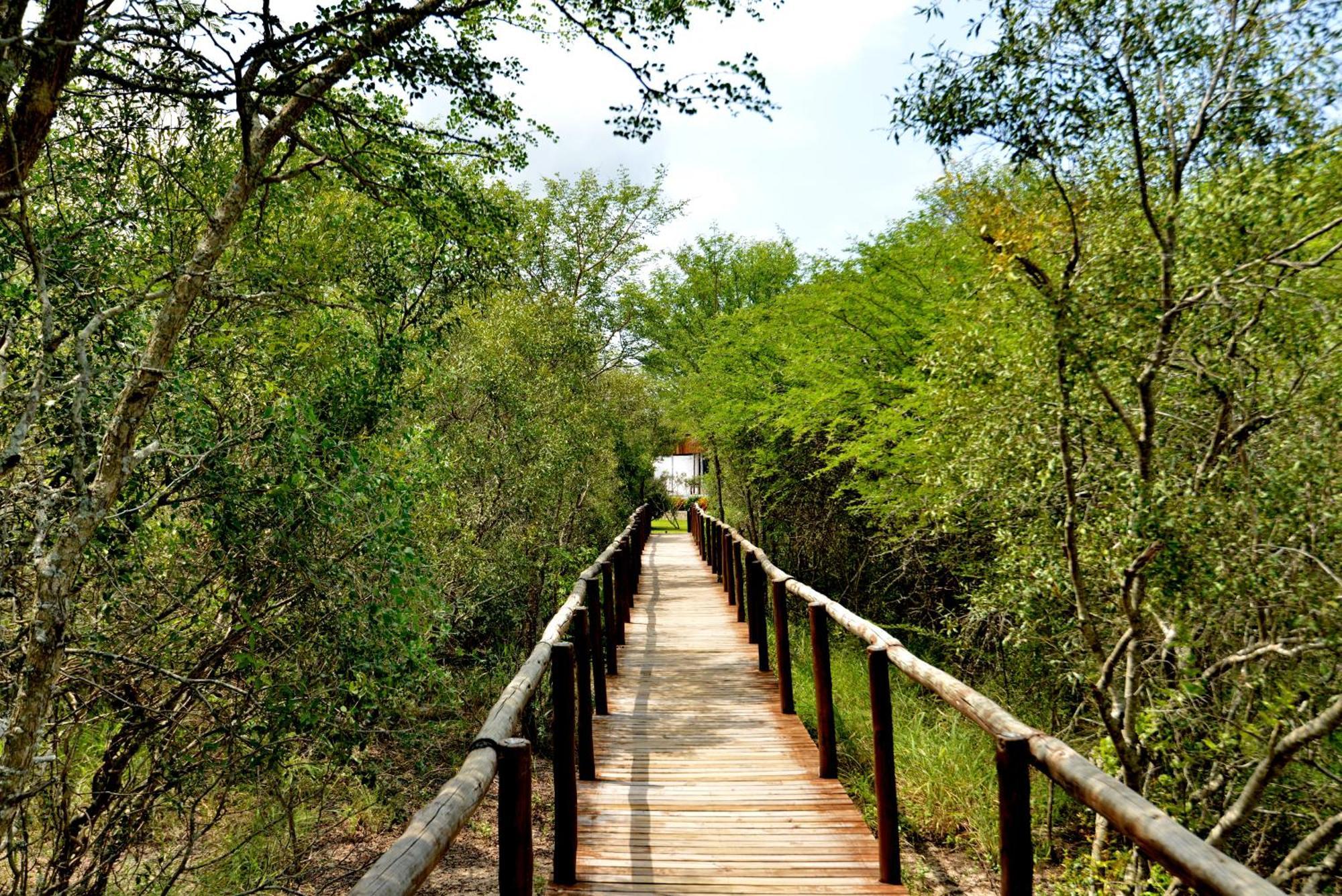 Kruger Safari Lodge Khu bảo tồn Khu bảo tồn Manyeleti Game Reserve Ngoại thất bức ảnh