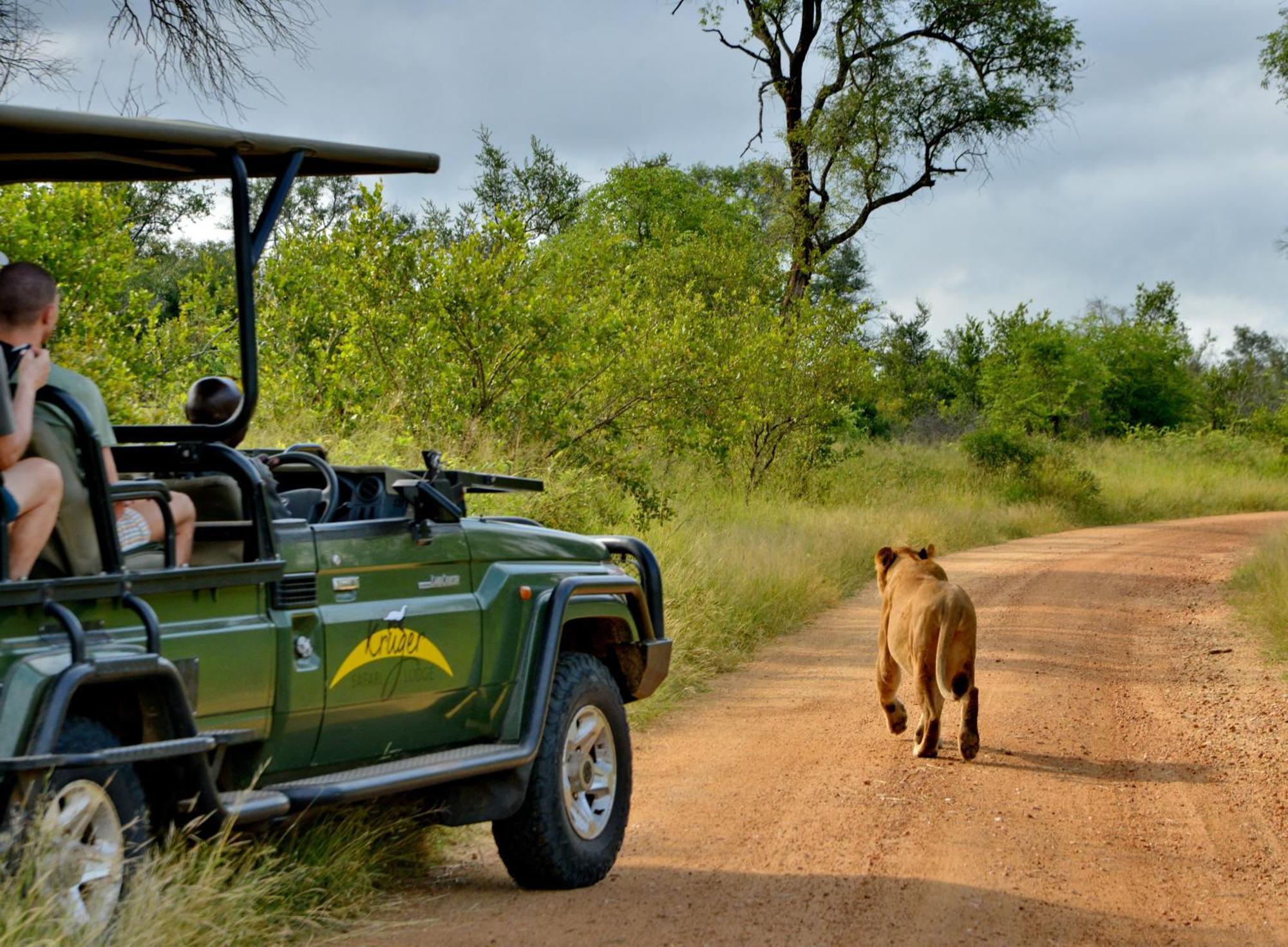 Kruger Safari Lodge Khu bảo tồn Khu bảo tồn Manyeleti Game Reserve Ngoại thất bức ảnh