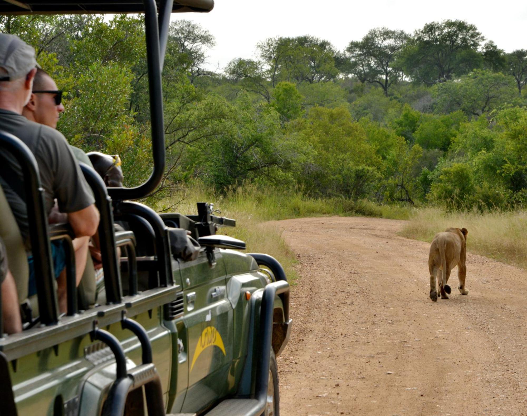 Kruger Safari Lodge Khu bảo tồn Khu bảo tồn Manyeleti Game Reserve Ngoại thất bức ảnh